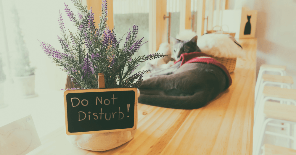 Do Not Disturb - Did you know that you could pause viewings on your property through the Christmas period?